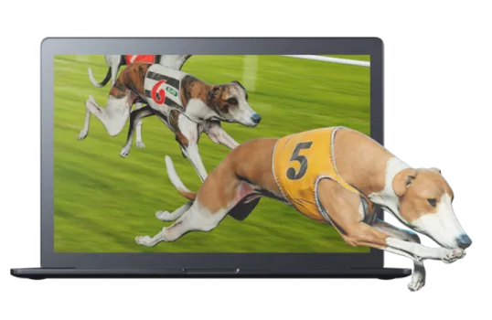 Virtual Dog Racing™